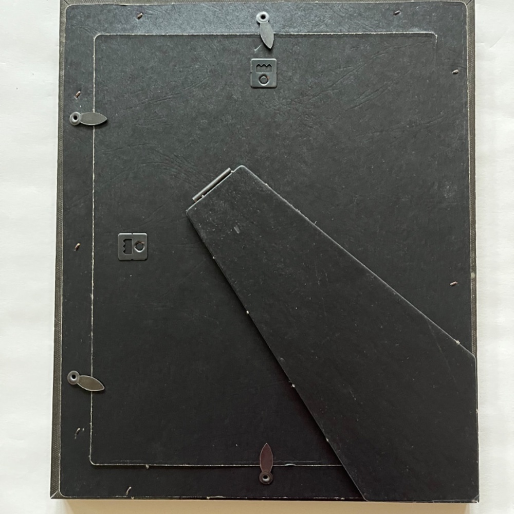 Framed Shell Print - Picture 6 of 6